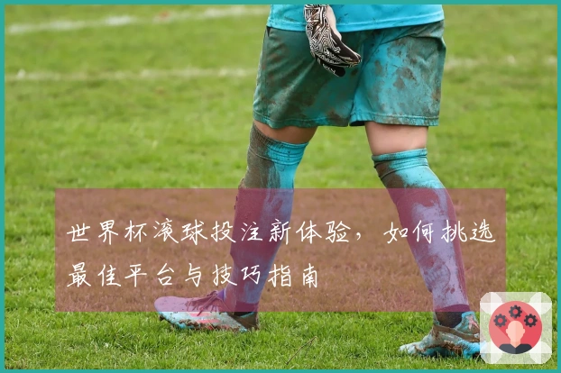 世界杯滚球投注新体验，如何挑选最佳平台与技巧指南