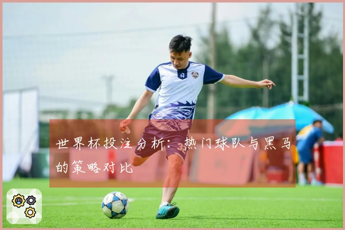 世界杯投注分析：热门球队与黑马的策略对比