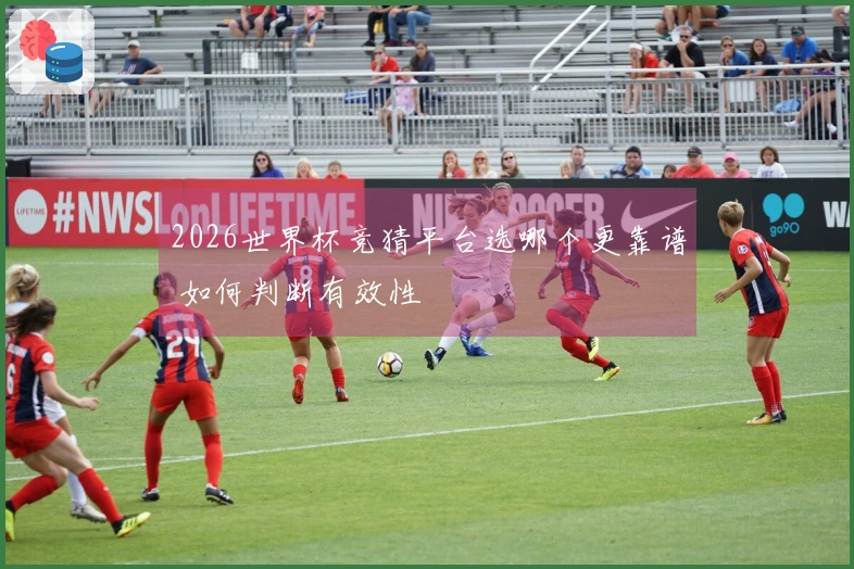 2026世界杯竞猜平台选哪个更靠谱 如何判断有效性