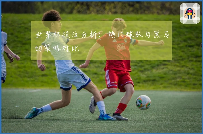 世界杯投注分析：热门球队与黑马的策略对比