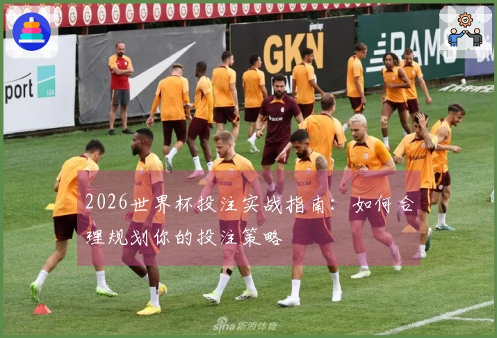 2026世界杯投注实战指南：如何合理规划你的投注策略