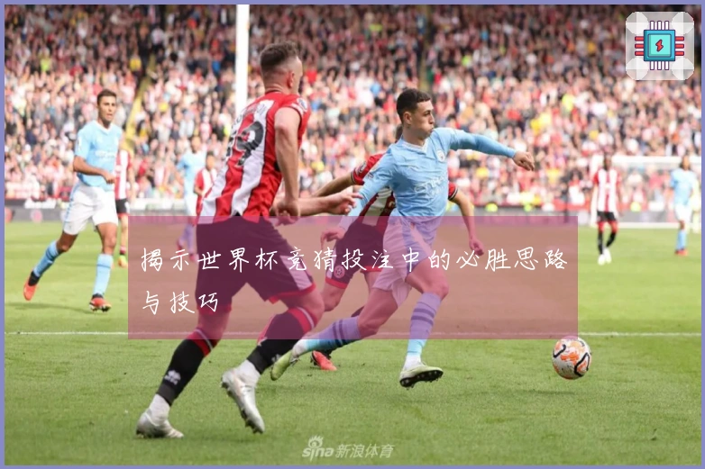 揭示世界杯竞猜投注中的必胜思路与技巧